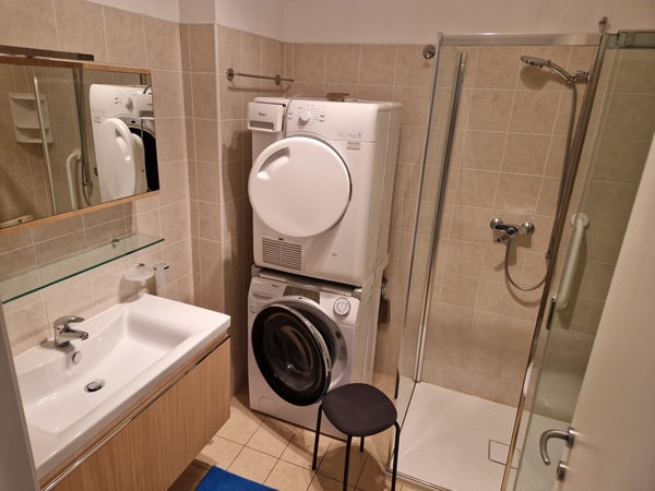 Affitto per brevi periodi 1.5 locali a Lugano 7