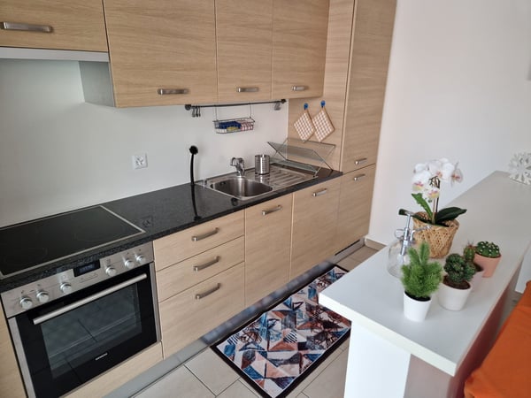 Affitto per brevi periodi 1.5 locali a Lugano 10