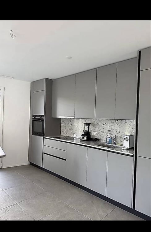 Nuovo 1.5 a Massagno 3