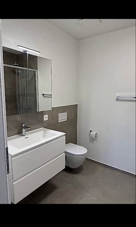 Nuovo 1.5 a Massagno 4