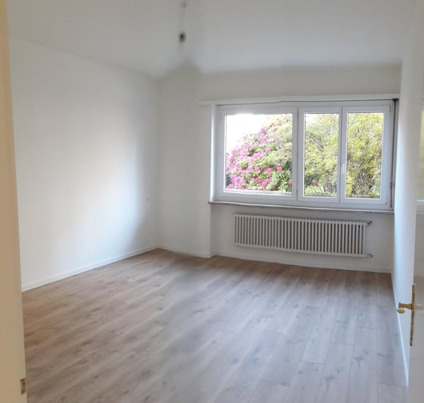 Ascona - Cercasi subentrante per appartamento 1.5 locali 3