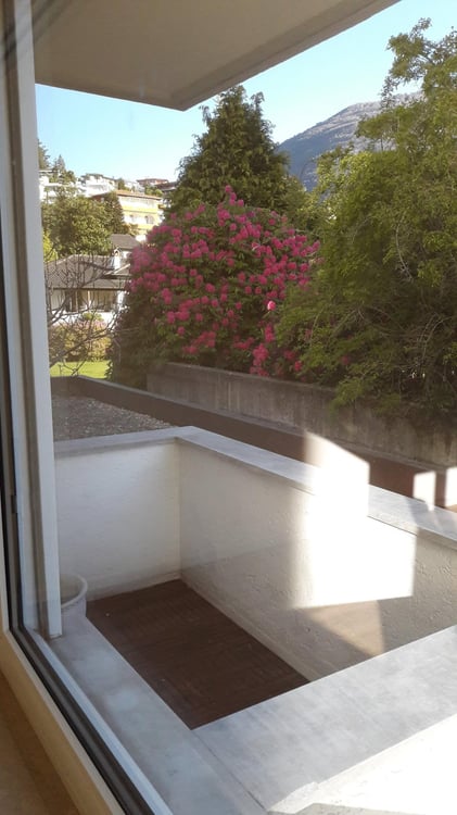 Ascona - Cercasi subentrante per appartamento 1.5 locali 4