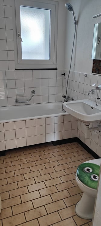 Schöne neu umgebaute ruhige Wohnung 1