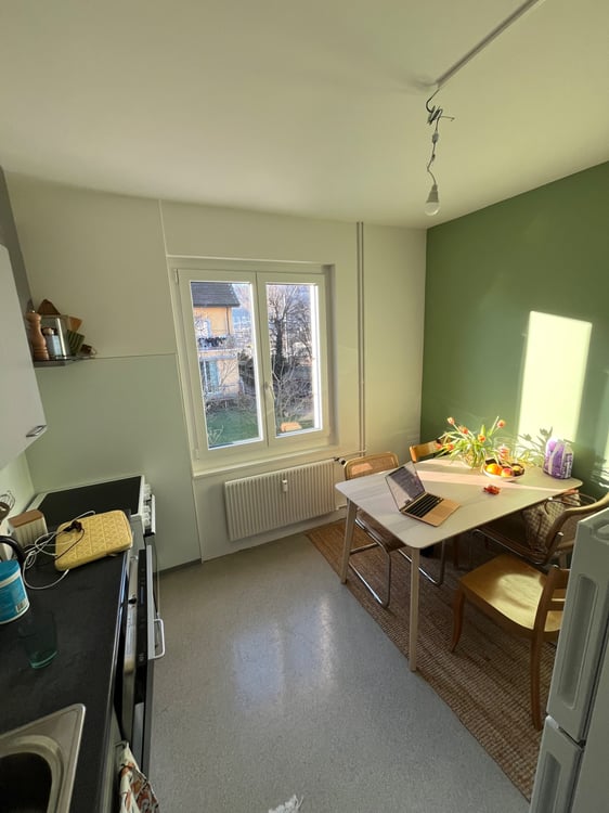 Helle & frisch renovierte 1-Zimmerwohnung 2