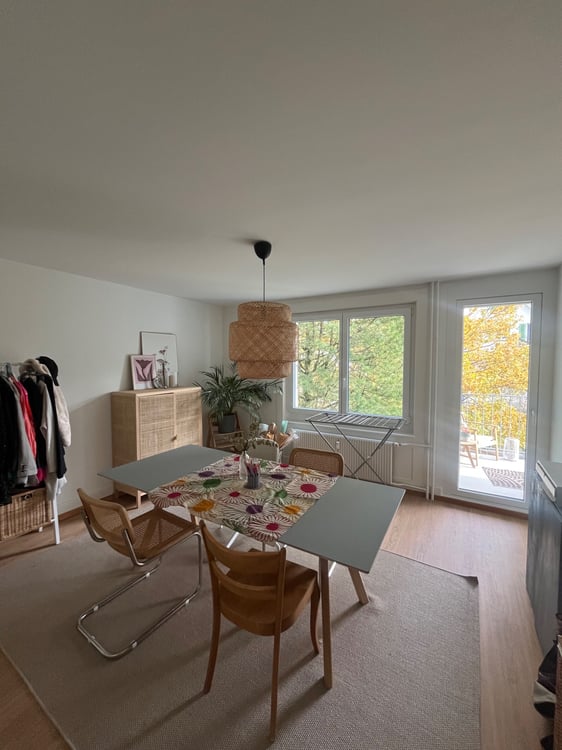 Helle & frisch renovierte 1-Zimmerwohnung 4