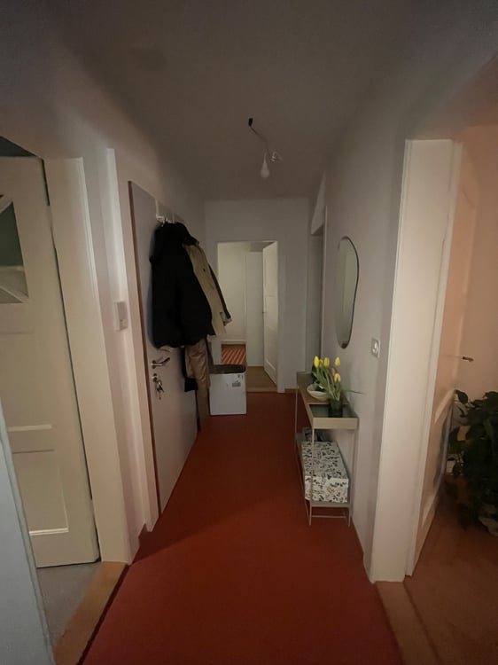 Helle & frisch renovierte 1-Zimmerwohnung 5