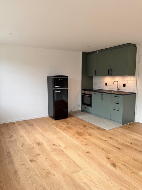 Neu renovierte Wohnung an zentraler Lage in Brugg 3