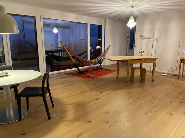 Grosszügige 2,5 Z.- Gartenwohnung mit herrlichem Seeblick 2