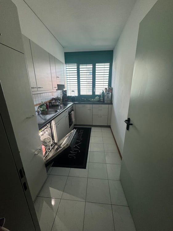 Cerco subentrante per appartamento 1.5 locali 4