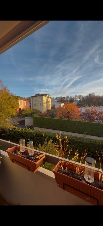 Immagine anteprima degli immobili