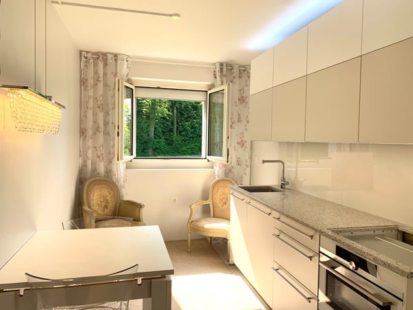 Sonnige ,ruhige, renovierte 1.5-Z Wohnung mit Balkon 4