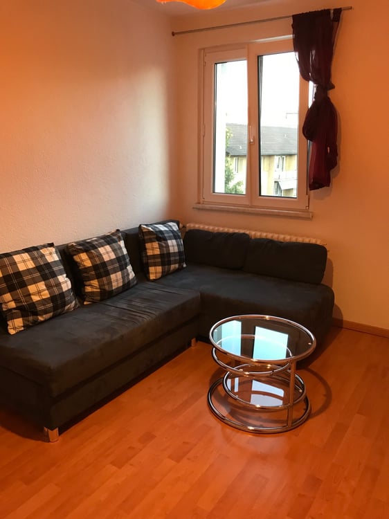 Möblierte 1-Zimmer-Wohnung in Dietikon zu vermieten 5