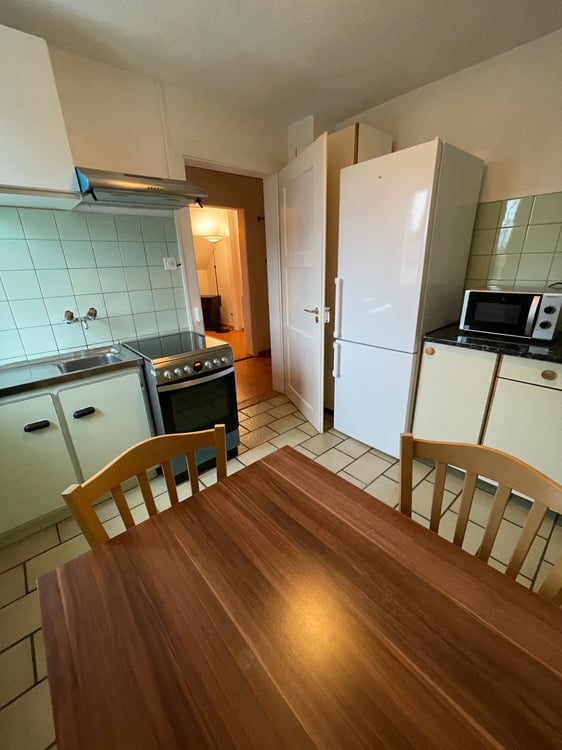 Möblierte 1-Zimmer-Wohnung in Dietikon zu vermieten 3
