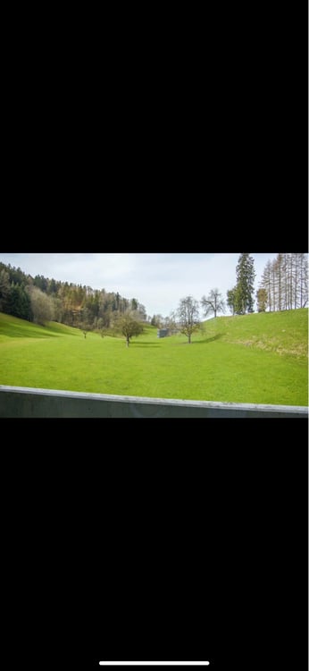 1.5 Zimmer Wohnung 2