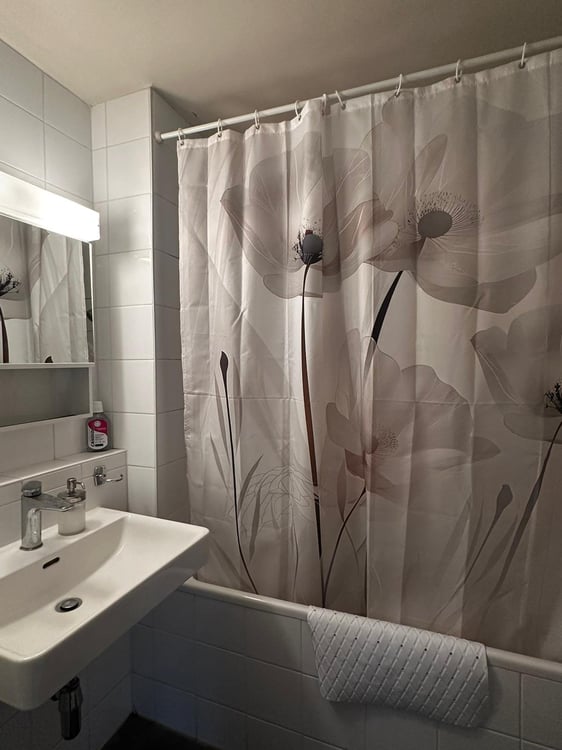 Chambre dans le centre-ville, idéale pour étudiantes 5