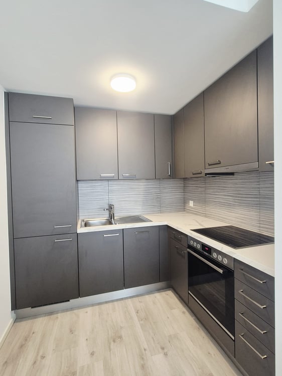 Modern 1.5-Room Apartment in New Building - Chiasso 1