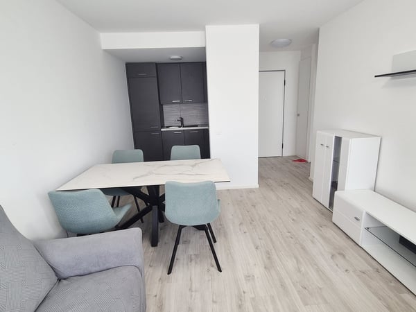 Modern 1.5-Room Apartment in New Building - Chiasso 2