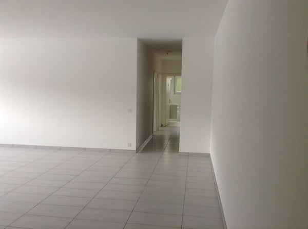 Appartamento 1.5 a Quartino con giardino ID 20138 11