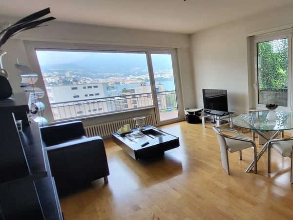 Nuovo Prezzo 1.5 locali a Paradiso con stupenda vista lago 10