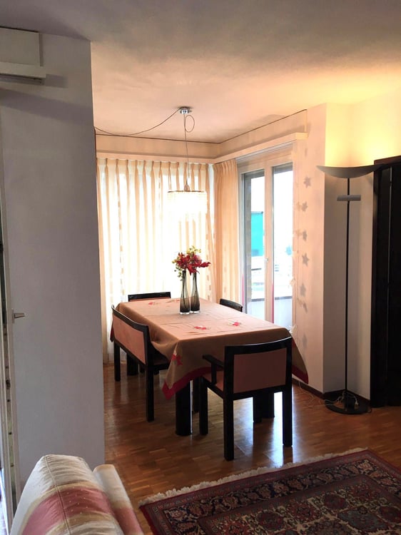 1.5 loc. con GIARDINO e VISTA LAGO a PARADISO ID 21316 3