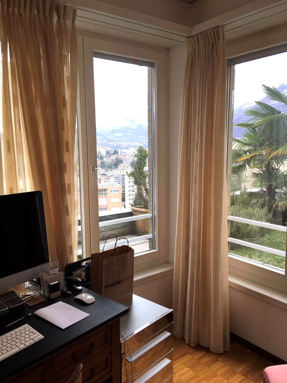 1.5 loc. con GIARDINO e VISTA LAGO a PARADISO ID 21316 1