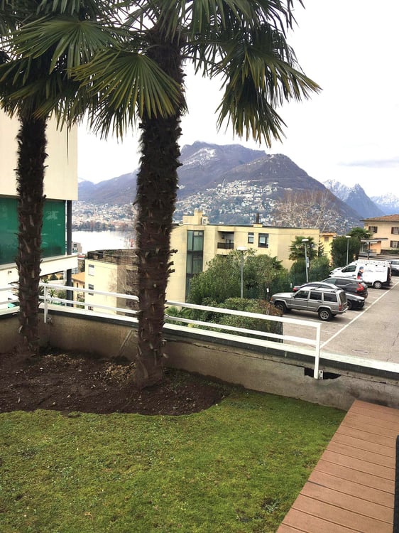 1.5 loc. con GIARDINO e VISTA LAGO a PARADISO ID 21316 10