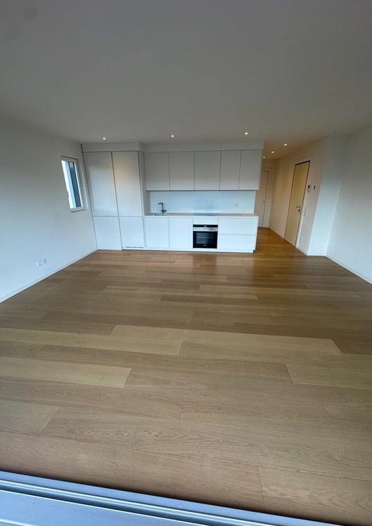 STRATEGICO 1.5 LOC. A LUGANO CON VISTA LAGO ID 23625 5