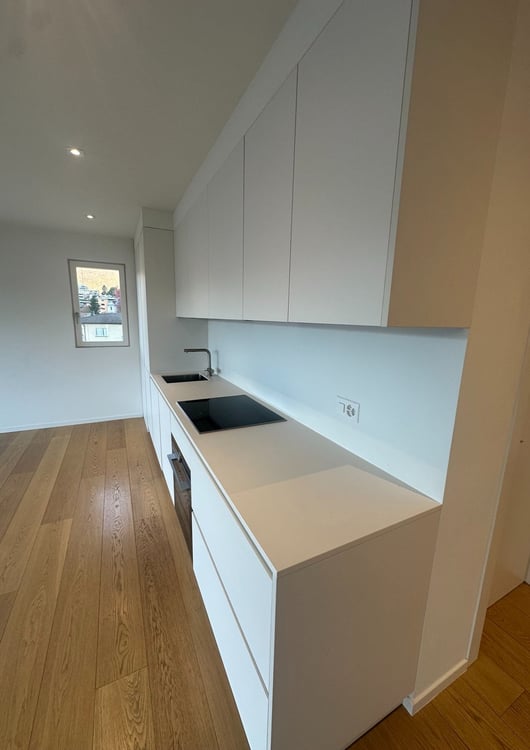 STRATEGICO 1.5 LOC. A LUGANO CON VISTA LAGO ID 23625 12