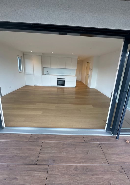 STRATEGICO 1.5 LOC. A LUGANO CON VISTA LAGO ID 23625 4