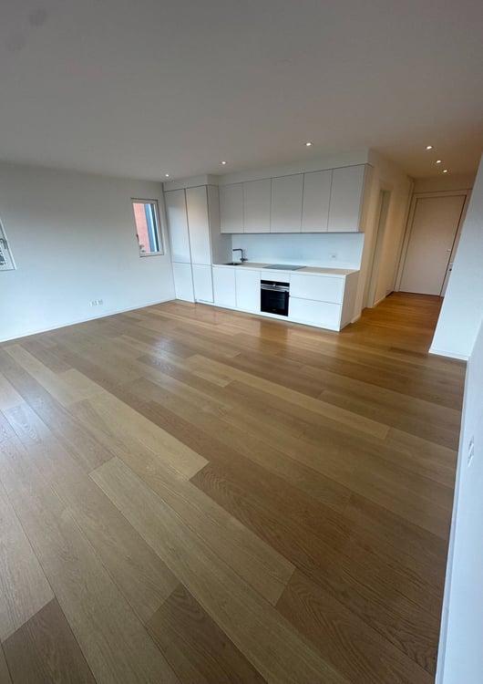 STRATEGICO 1.5 LOC. A LUGANO CON VISTA LAGO ID 23625 6