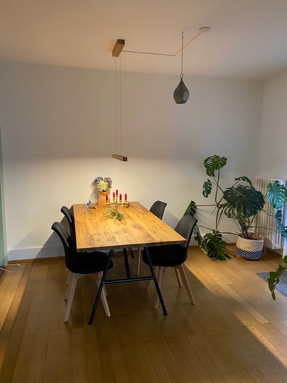 1.5Zi WHG ab 1.4.25 im Rössligut, Aarau 4