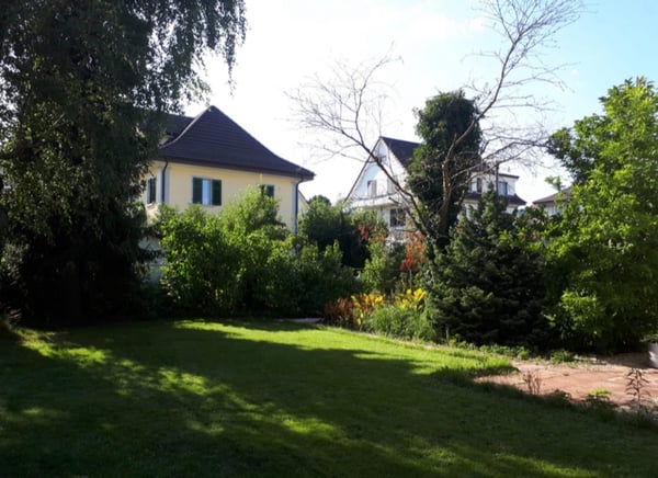 1.5Zi WHG ab 1.4.25 im Rössligut, Aarau 5