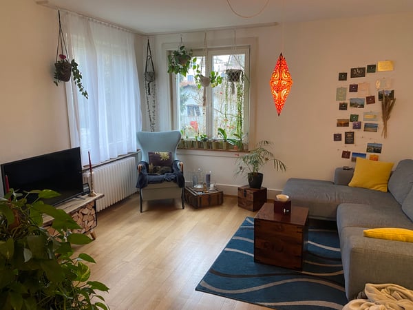 1.5Zi WHG ab 1.4.25 im Rössligut, Aarau 3