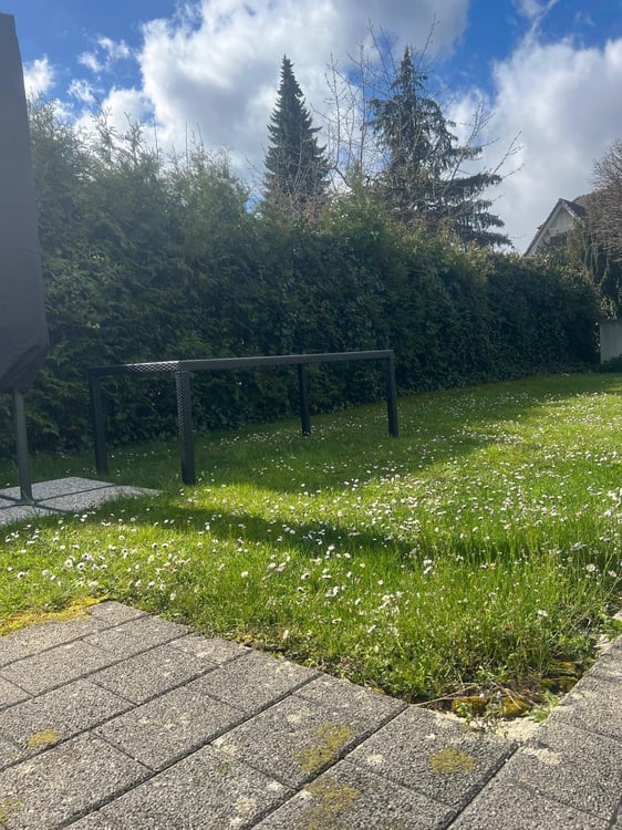 1.5-Zimmer-Wohnung mit grossem Garten in Solothurn 2