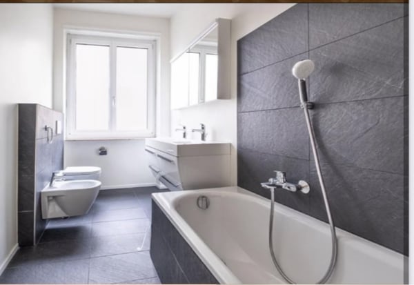 Grande 1.5 Centro Lugano - da 1 Marzo 26 3