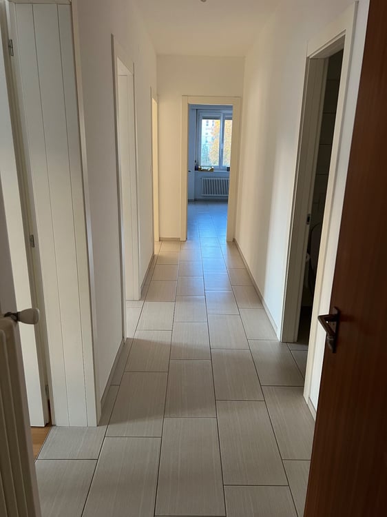 Cercasi subentrante 01.01 -1.5 locali a Lugano (Cassarate) 2