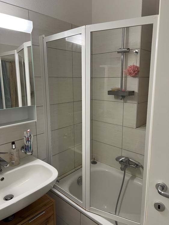 Cercasi subentrante 01.01 -1.5 locali a Lugano (Cassarate) 4