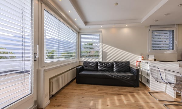 HM121.5 - A Rovio una vista lago inaspettata 6