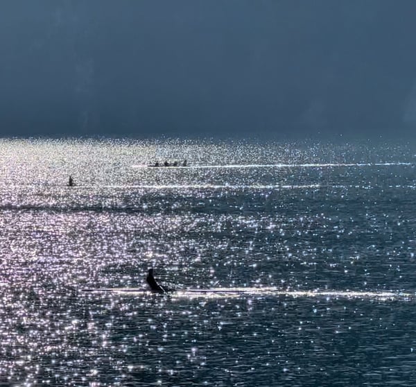 Vorschaubild der Immobilie