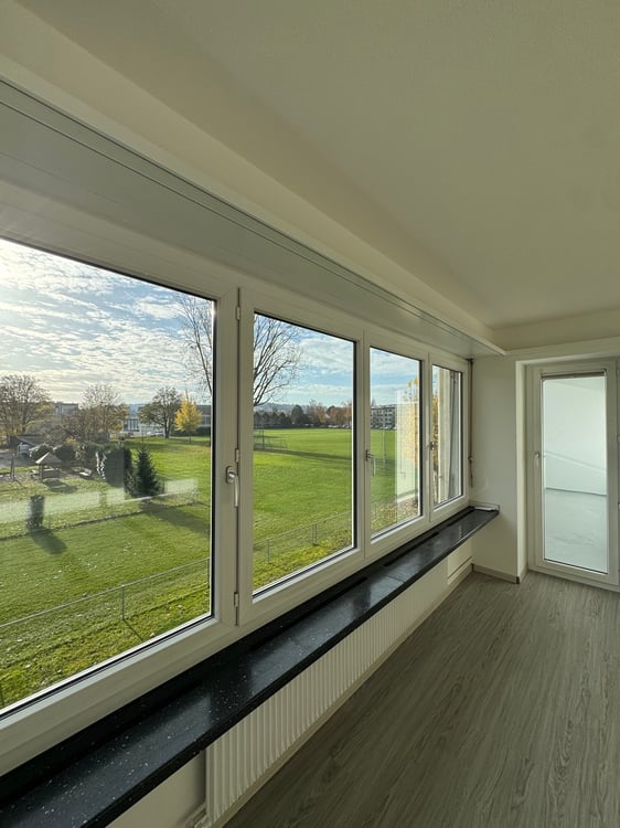 1 Z/W komplett renoviert in Biel/Bienne 130m2 1