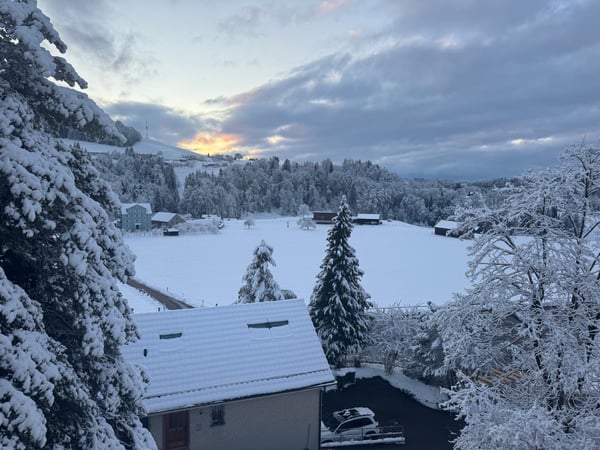 Nachmieter gesucht: 2.5 Zimmerwohnung in Herisau ab 01.01.26 5