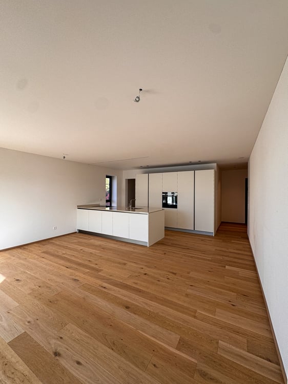 RAFFINATO APPARTAMENTO DI 1.5 LOCALI A MASSAGNO 1