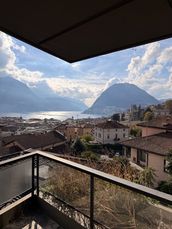 APPARTAMENTO DI 1.5 LOCALI CON VISTA LAGO PANORAMICA 1
