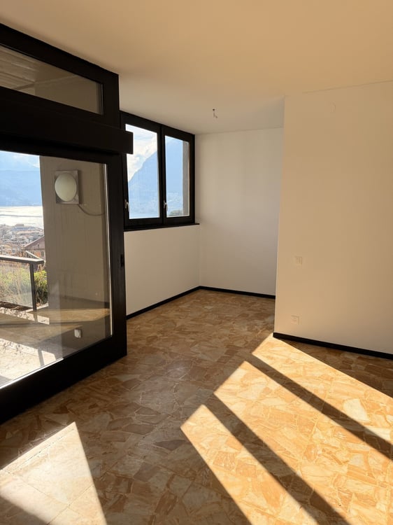 APPARTAMENTO DI 1.5 LOCALI CON VISTA LAGO PANORAMICA 2