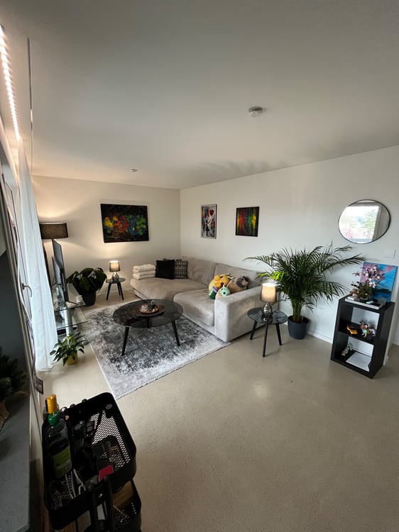 Renovierte Wohnung in Rheinfelden 1