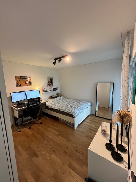 Renovierte Wohnung in Rheinfelden 3