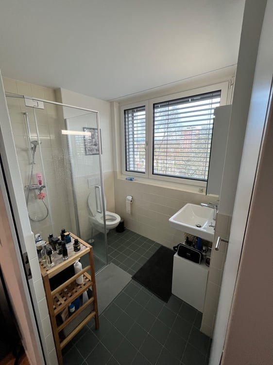 Renovierte Wohnung in Rheinfelden 2