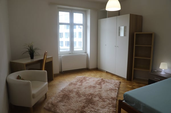 Ab sofort sehr grosses neues möbliertes WG-Zimmer 1