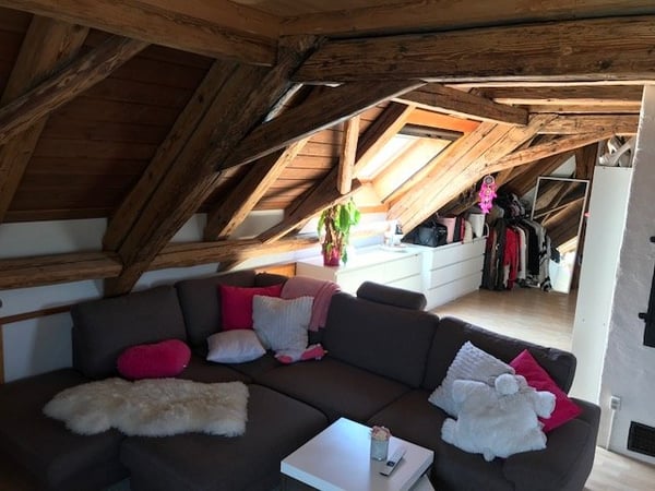 2.5 Zi. Dachwohnung, 14m2 mit schöner Aussicht auf die Alpen 5