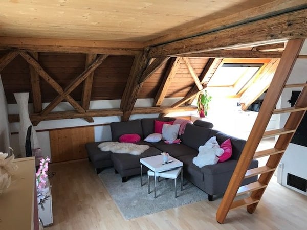 2.5 Zi. Dachwohnung, 14m2 mit schöner Aussicht auf die Alpen 3